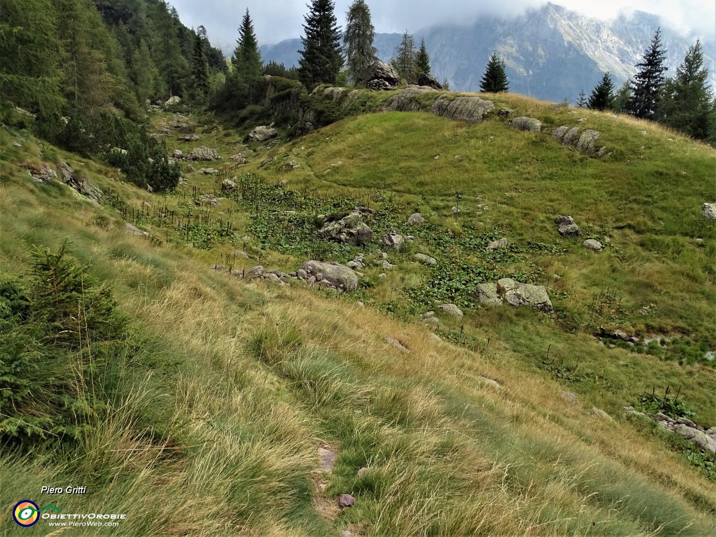 70 Dopo mezz'oretta di dscesa incrocio il Sentiero dei Roccoli (272).JPG